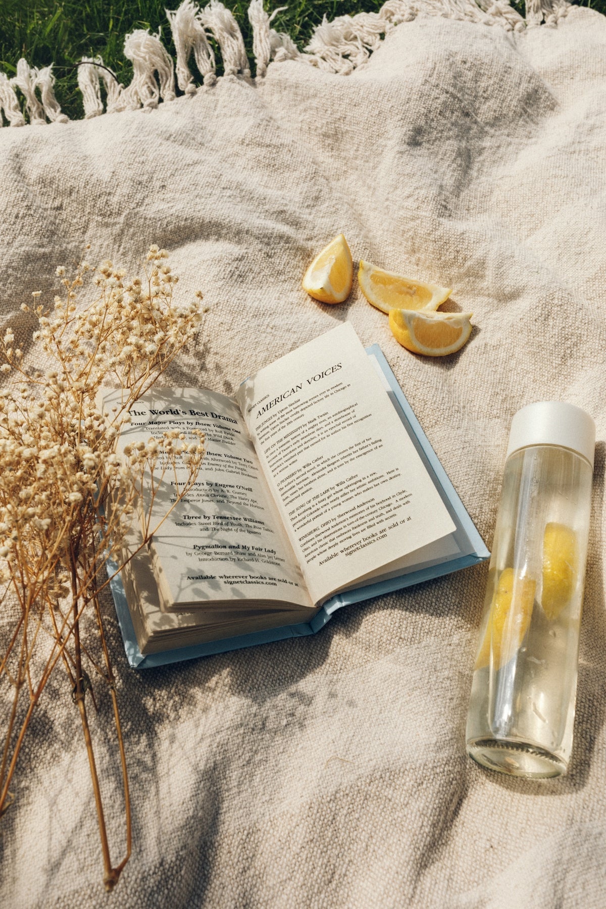 Educational Insights into Natural Ingredients in Herbal Teas - Detox Capsul Shop