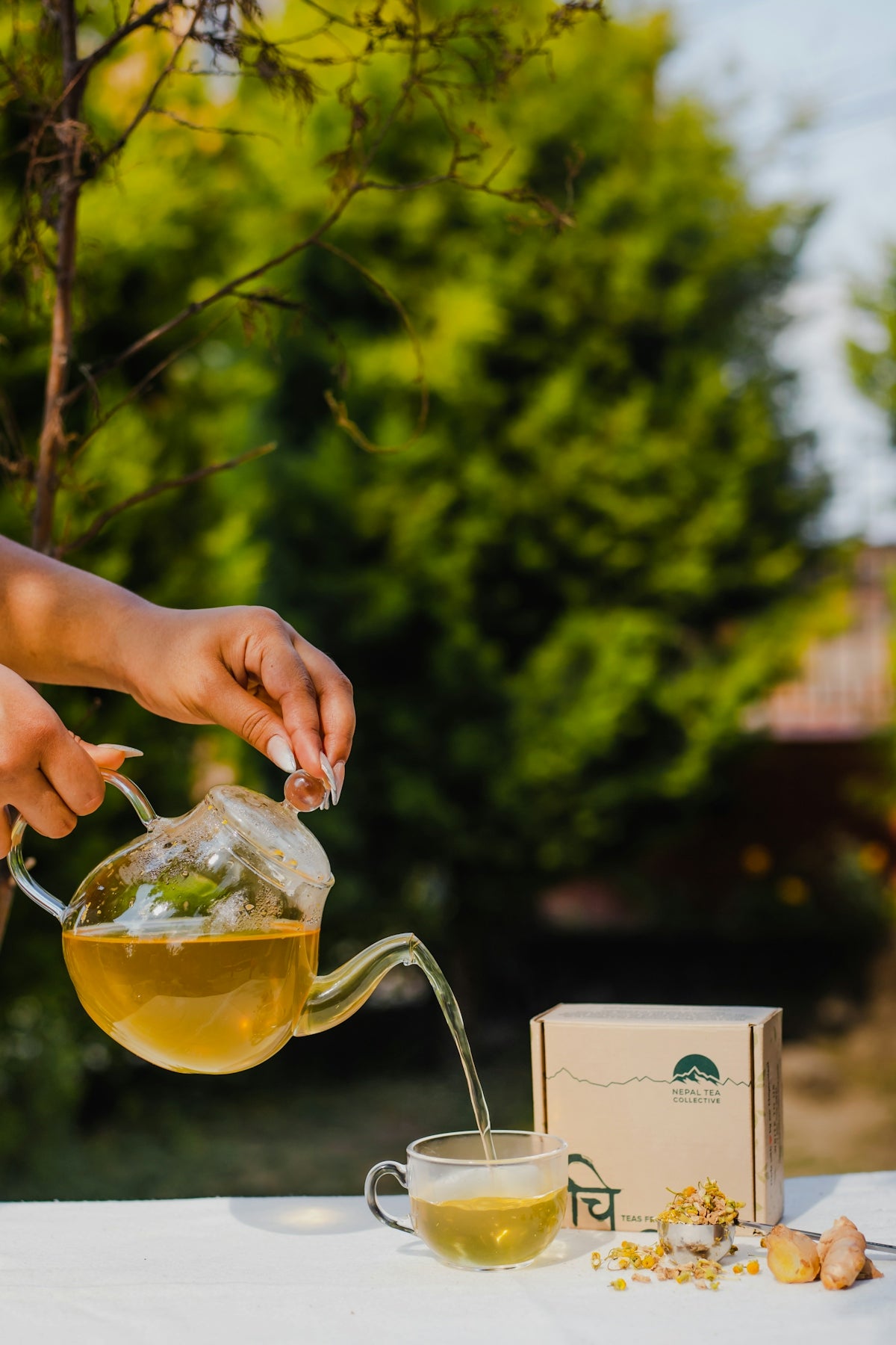 a person pouring tea into a teapot