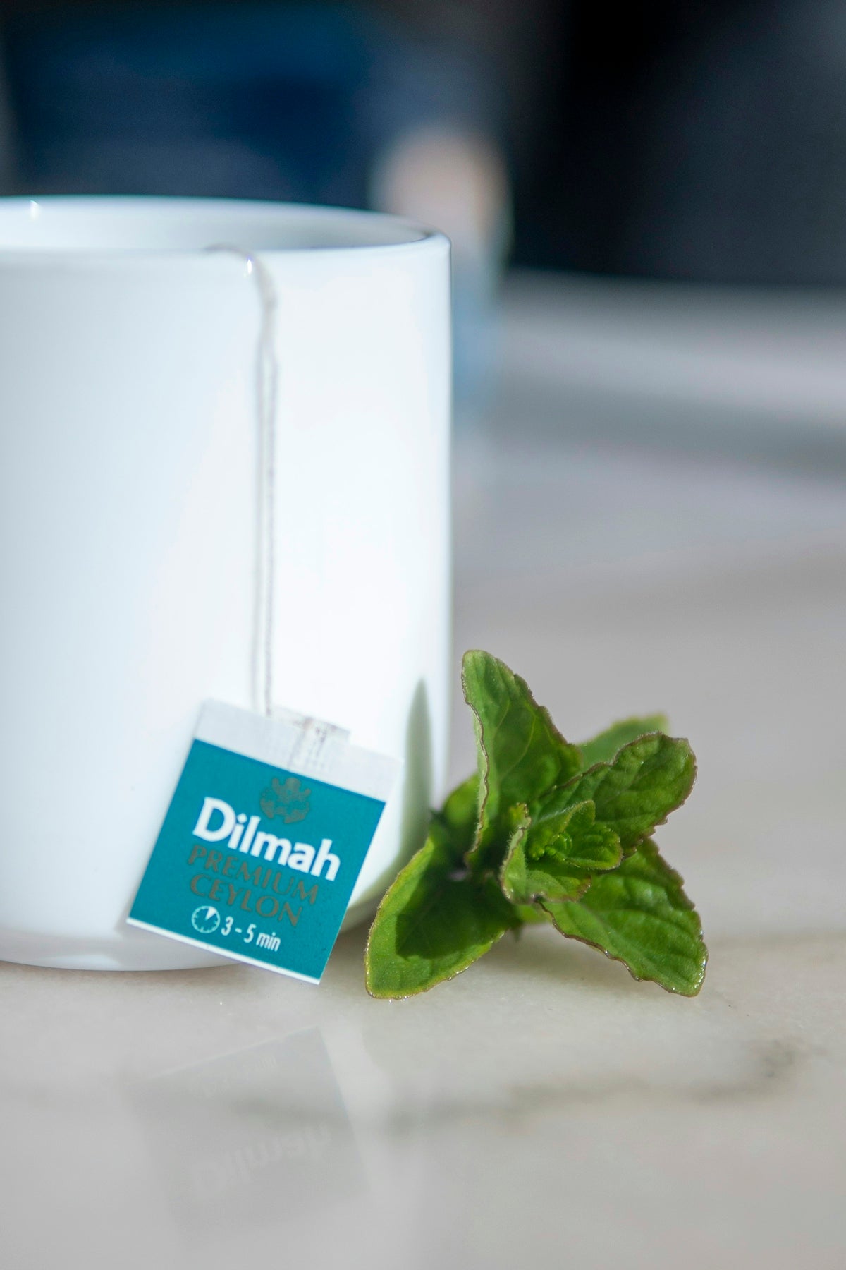 a green leafy plant sitting next to a white cup